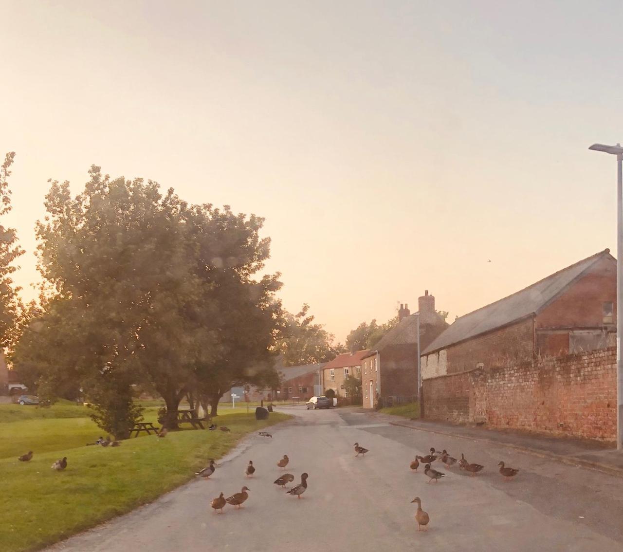 Village Barn Conversion Near Йорк Екстер'єр фото